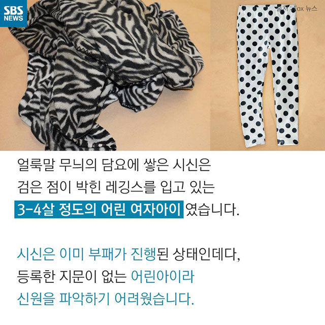 메인이미지  6 : 