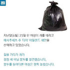 섬네일이미지  5: