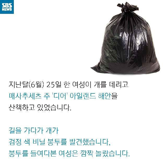 메인이미지  5 : 