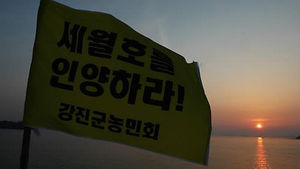 세월호 선체 인양, 중국 업체가 최우선 협상자
