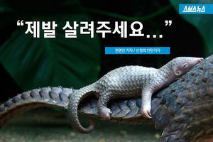 돌돌 말린 채 죽어가는 희귀 동물&hellip;잔혹한 포획