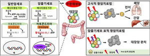 암줄기세포 죽이는 메커니즘, 국내 연구진이 규명