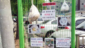 [핫포토] '무단 투기한' 쓰레기로 만든 이기심 갤러리 '눈길'