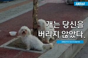 버린 줄도 모르고 주인 찾아간 강아지&hellip;짠한 사연