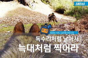 인간은 절대 못 찍는 사진&hellip;착한 '동물 사진사'