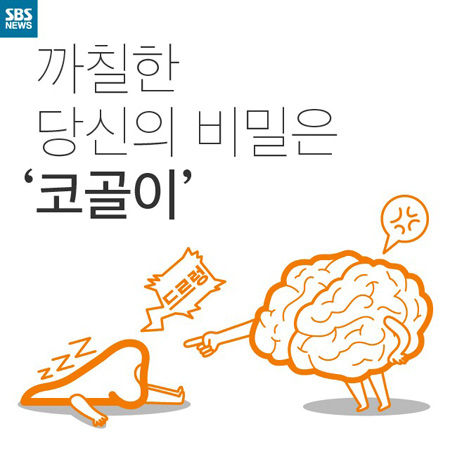 메인이미지  1 : 
