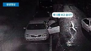 [생생영상] '취객에 딱 걸렸네!' 차량털이범 황당한 최후