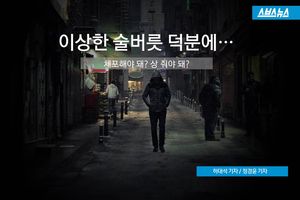 취객의 '주사' 때문에&hellip;상습 차량 털이범 검거