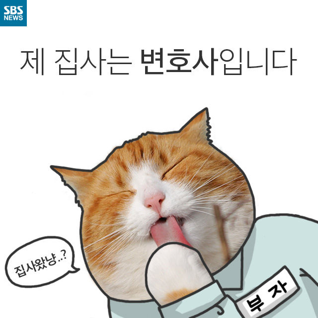 메인이미지  1 : 