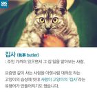 섬네일이미지  2: