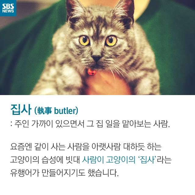 메인이미지  2 : 