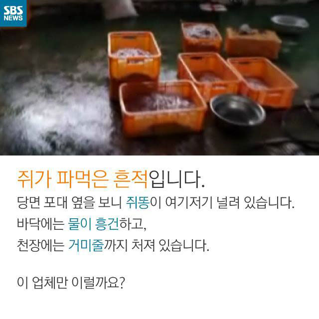 메인이미지  3 : 