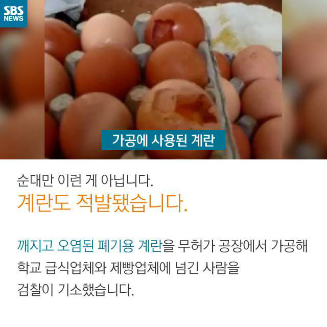 메인이미지  6 : 
