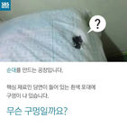 섬네일이미지  2: