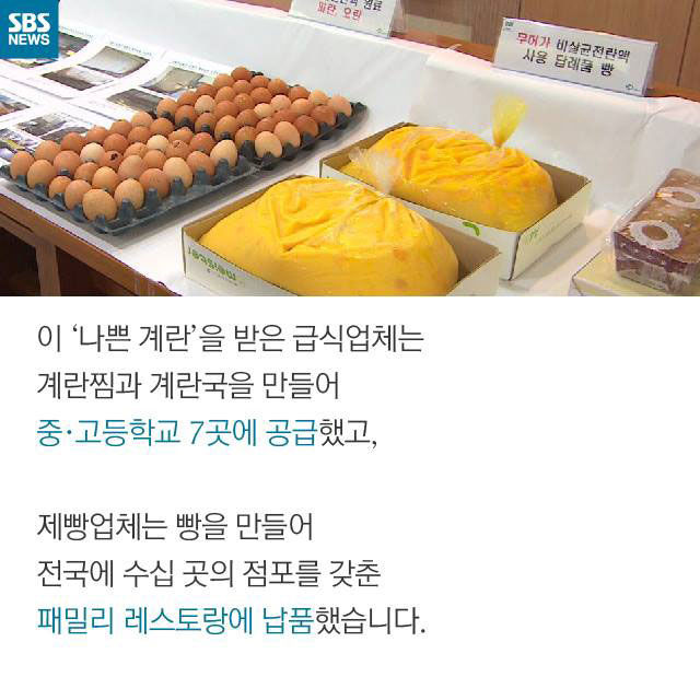 메인이미지  7 : 