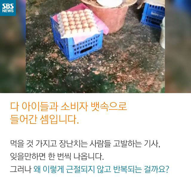 메인이미지  8 : 