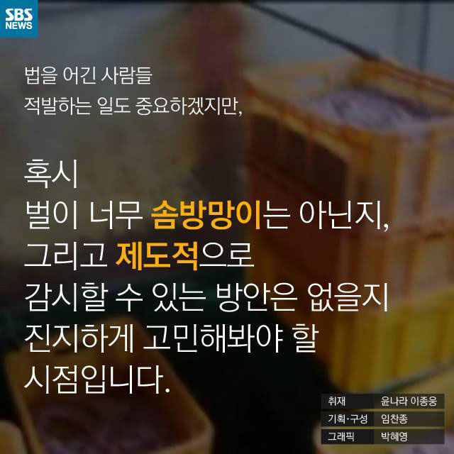 메인이미지  9 : 