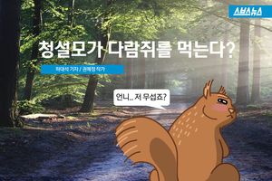 청설모가 다람쥐를 먹는다? 소문의 진실