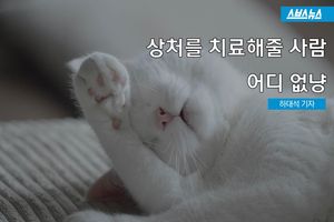 상처를 치료해줄 사람 어디 없냥