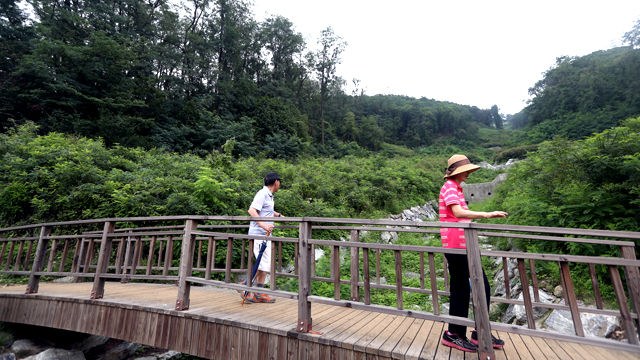 메인이미지  4 : 우면산 산사태가 발생한 지 4년이 지난 27일 오후 시민들이 산책로와 배수 시설이 설치된 사고 현장을 지나고 있다. 2011년 7월 27일 집중호우와 부실한 풍수해 대책 등이 겹쳐 발생한 우면산 산사태는 16명의 목숨을 단번에 앗아가면서 서울시내 역대 최악의 참사 중 하나로 기록됐다. (연합뉴스)