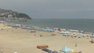 [부산] 해운대&middot;광안리 등 해수욕장 수질 양호
