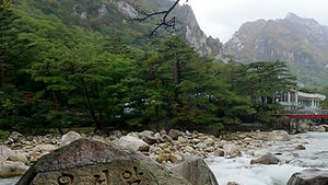 산림과학원, 금강산 소나무 시료 채취해 조사 착수