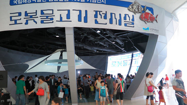 메인이미지  1 : 국립해양박물관은 28일 어린들에게 과학의 꿈을 심어주는 '로봇물고기 전시실' 문을 열었다. 이 곳에는 유영 로봇물고기 세마리, 관람객들이 만져 볼 수 있는 로봇물고기 두마리가 전시된다. (부산=연합뉴스)