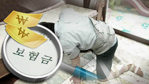보험사 과도한 소송 느는데&hellip;가입자만 눈물