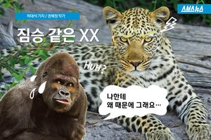 '짐승 같은 XX'?&hellip;사람보다 나은 동물들의 모성애