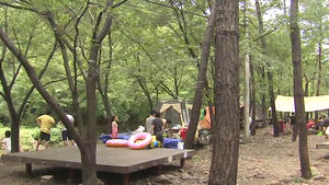 [대전] 경기도 '유명산' 자연휴양림 최고 인기