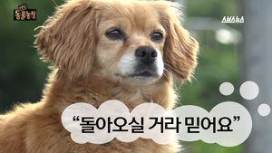 할머니 목숨 구한 영특한 '뚱이'&hellip;애닳는 기다림