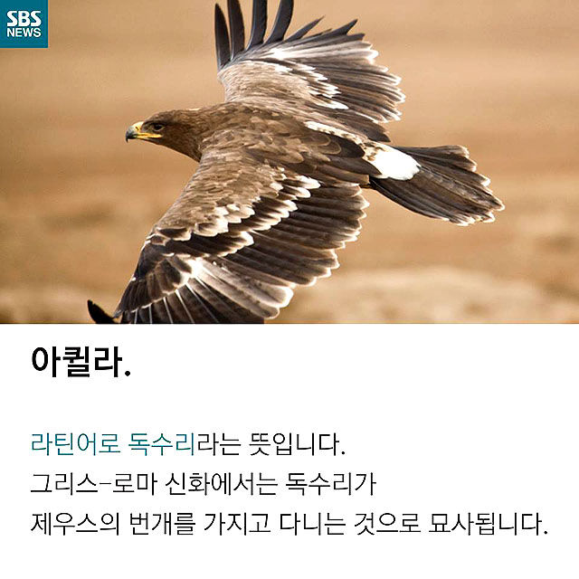메인이미지  2 : 