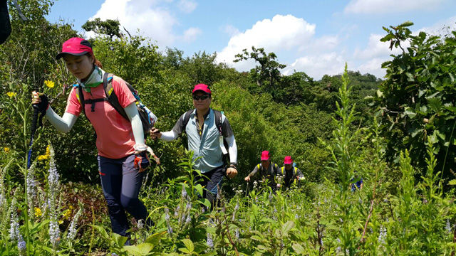 메인이미지  7 : 1일 오후 강원 정선군 함백산에서 열린 '함백산 야생화축제' 야생화 등반대회 참가자들이 고원지대 산행을 즐기고 있다. 이날 개막한 함백산 야생화축제는 야생화차 시음, 자연물 만들기, 야생화 전시, 꽃차 만들기 등 다양한 프로그램이 9일까지 이어진다. 한편 이날 강원도는 낮 최고기온 원주 34.5도 홍천 34.2도, 정선 33.3도 등 무더운 날씨를 보였다. (정선군 제공)