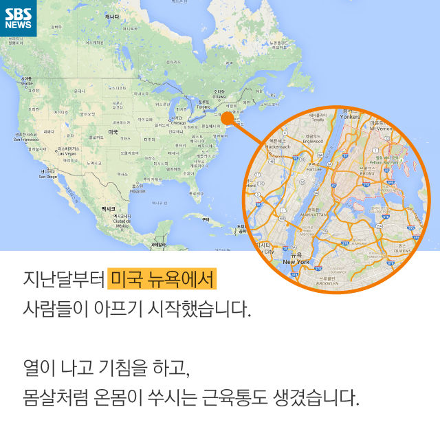 메인이미지  2 : 