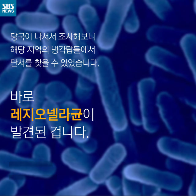 메인이미지  5 : 