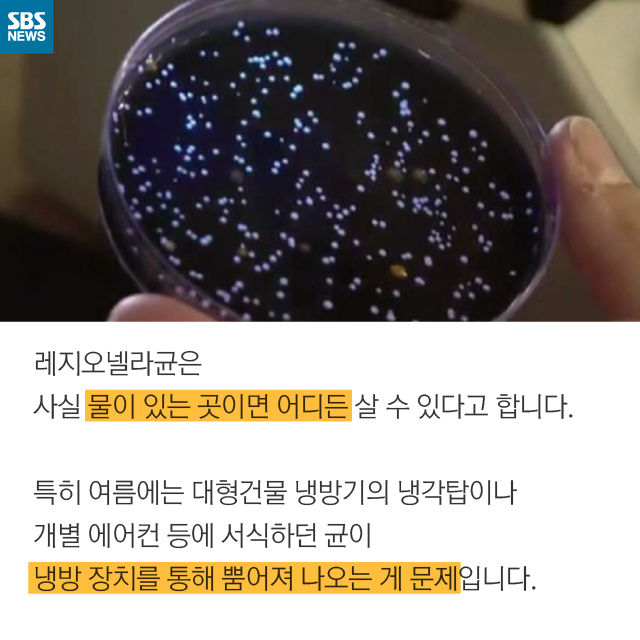 메인이미지  6 : 