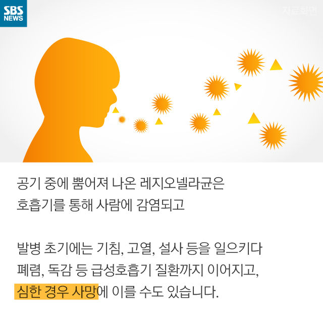 메인이미지  7 : 