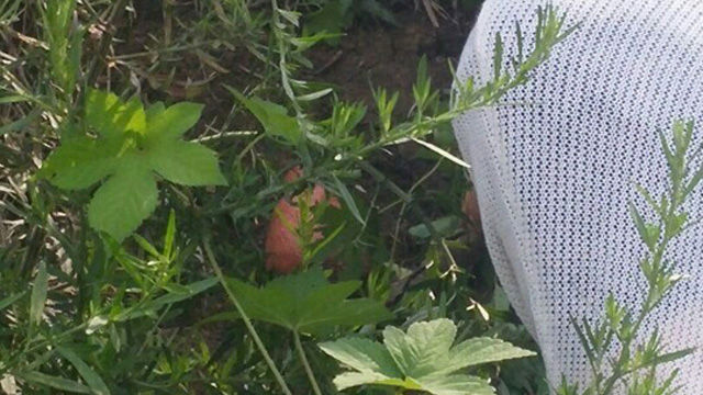메인이미지  1 : (사진=수지동물병원 제공)