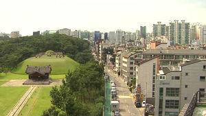 서초구 35도-관악구 32도&hellip;'도심 숲'이 해답