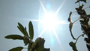 [취재파일] 늦더위 뒤에는 엘니뇨가?&hellip;주말 소나기 조심하세요