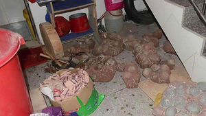 [월드리포트] 뼈는 먹고 알은 팔고&hellip;中 공룡 화석 도둑질