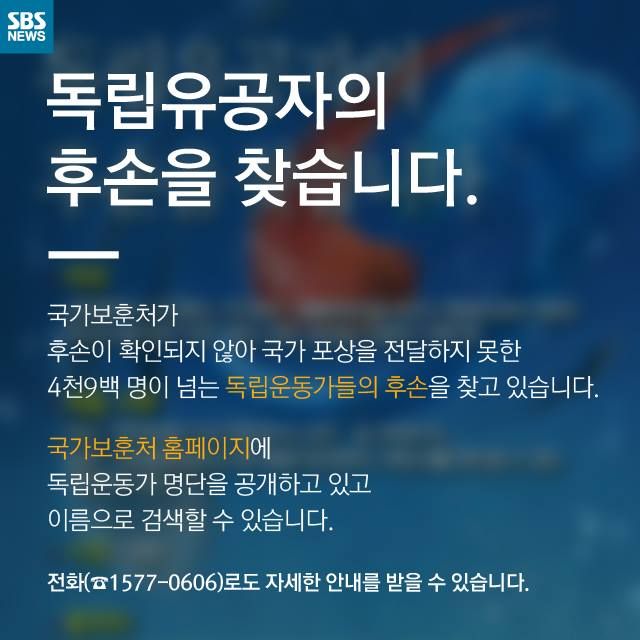 메인이미지  11 : 