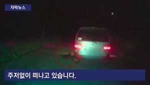 [자막뉴스] "절 버리지 마세요"&hellip;주인 車 뒤쫓는 반려동물