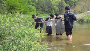 [취재파일] "우리나라 고유종 칼납자루, 철마천에 살아요!" 하천 사랑하는 마음, 고등학생들에게 배우다