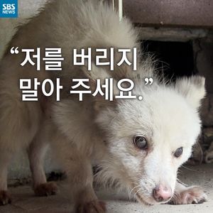 [카드뉴스] "저를 버리지 말아 주세요"