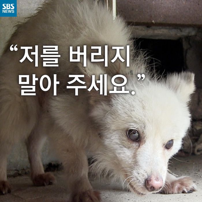 메인이미지  1 : 
