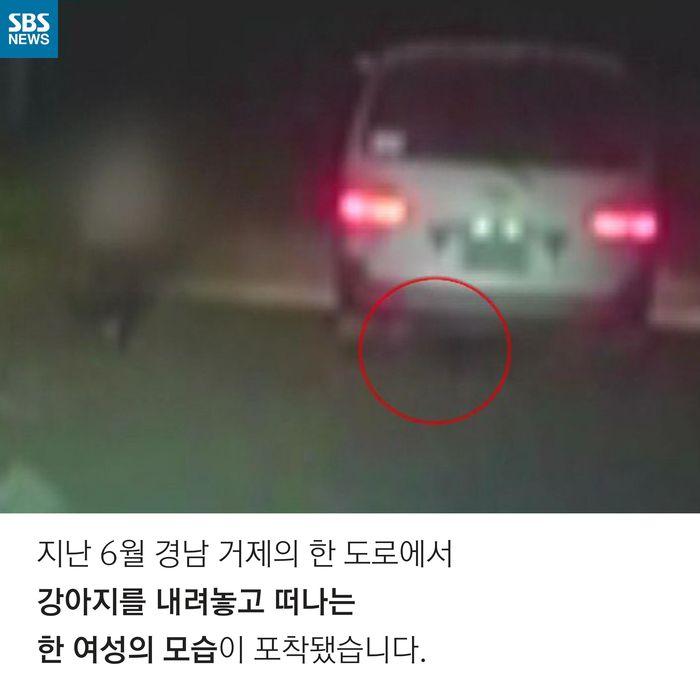 메인이미지  2 : 