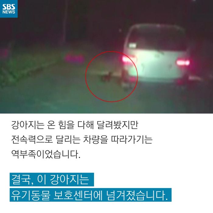 메인이미지  3 : 