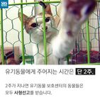 섬네일이미지  4: