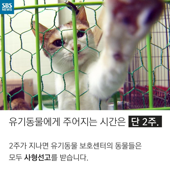 메인이미지  4 : 